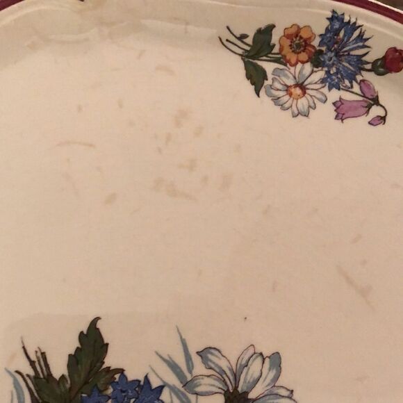 Agreste Sarreguemines Plate - Picture 3 of 6